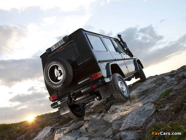 Mercedes-Benz G 300 CDI Professional (W461) 2010 wallpapers (640 x 480)