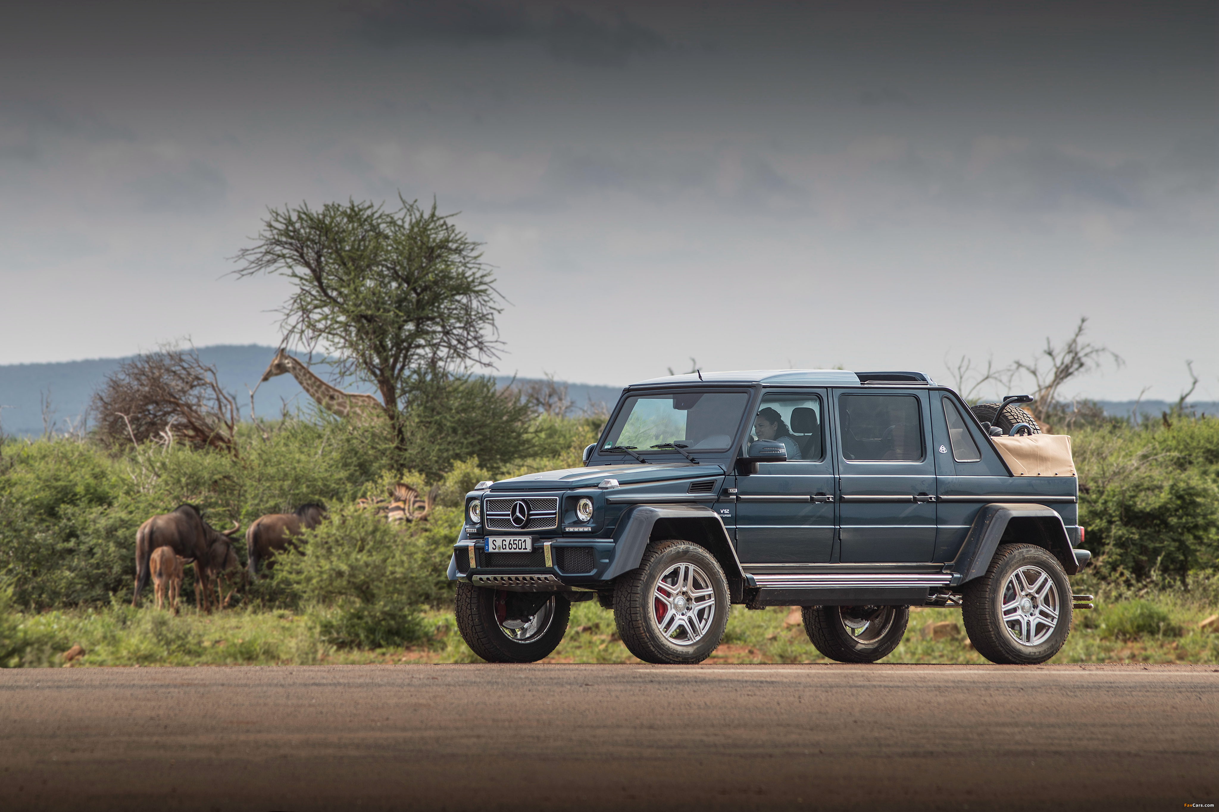 Mercedes-Maybach G 650 Landaulet (W463) 2017 pictures (4096 x 2731)