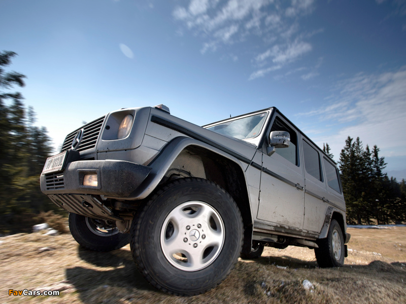 Photos of Mercedes-Benz G 270 CDI (W463) 2002–06 (800 x 600)