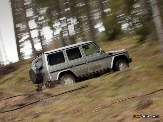 Photos of Mercedes-Benz G 270 CDI (W463) 2002–06 (640 x 480)