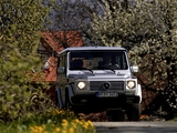 Photos of Mercedes-Benz G 270 CDI SWB (W463) 2002–06