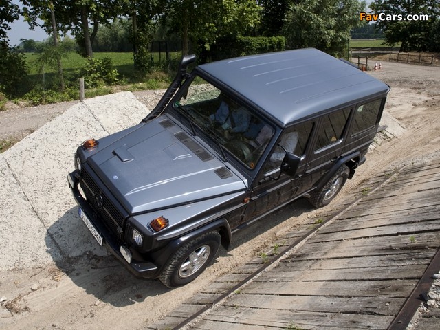 Photos of Mercedes-Benz G 300 CDI Professional (W461) 2010 (640 x 480)