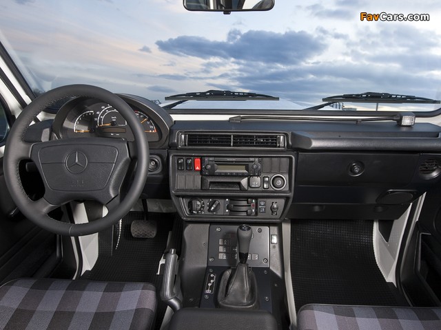 Photos of Mercedes-Benz G 300 CDI Professional (W461) 2010 (640 x 480)