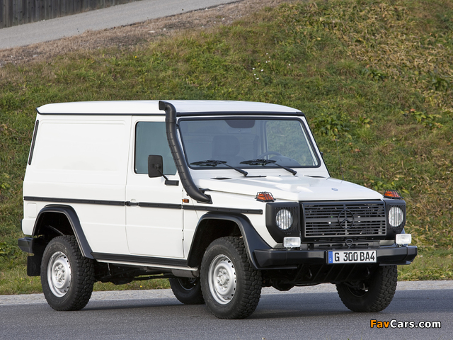 Photos of Mercedes-Benz G 300 CDI Van (W461) 2010–12 (640 x 480)