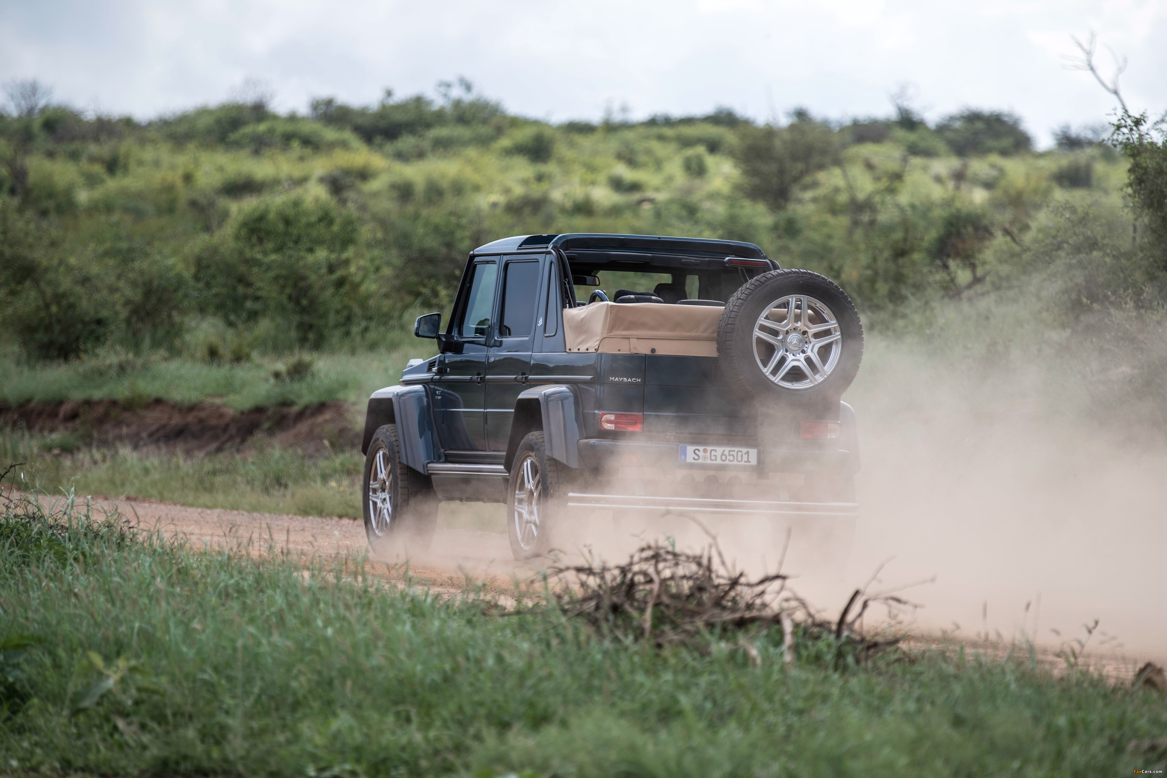 Photos of Mercedes-Maybach G 650 Landaulet (W463) 2017 (4096 x 2731)