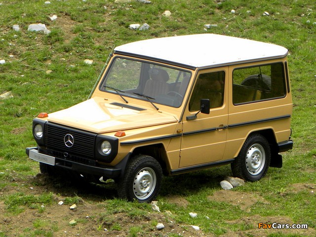 Pictures of Mercedes-Benz 240 GD SWB (W460) 1979–87 (640 x 480)