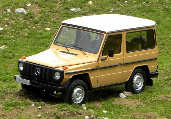 Pictures of Mercedes-Benz 240 GD SWB (W460) 1979–87