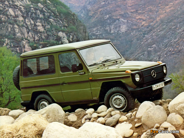 Pictures of Mercedes-Benz 240 GD SWB (W460) 1979–87 (640 x 480)