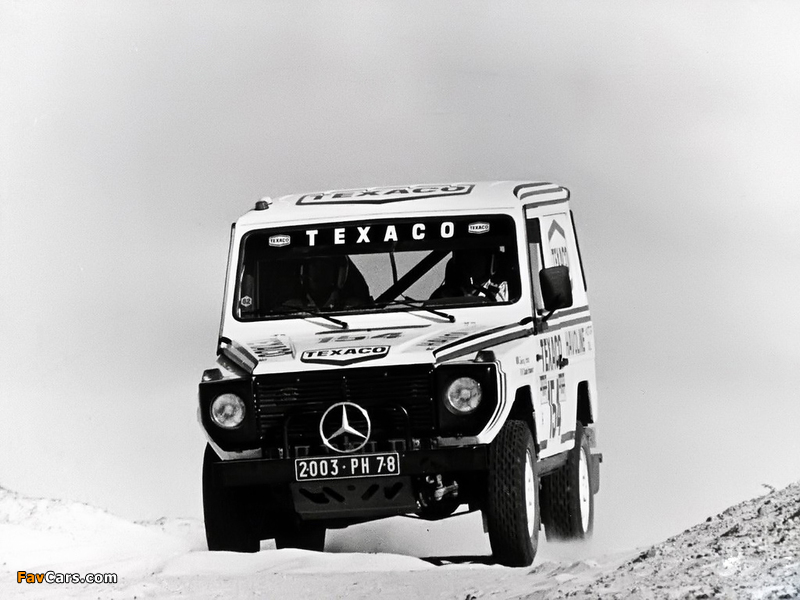 Pictures of Mercedes-Benz 280 GE Paris-Dakar (W460) 1983 (800 x 600)