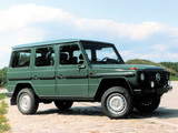 Pictures of Mercedes-Benz G-Klasse LWB (W461) 1992–97