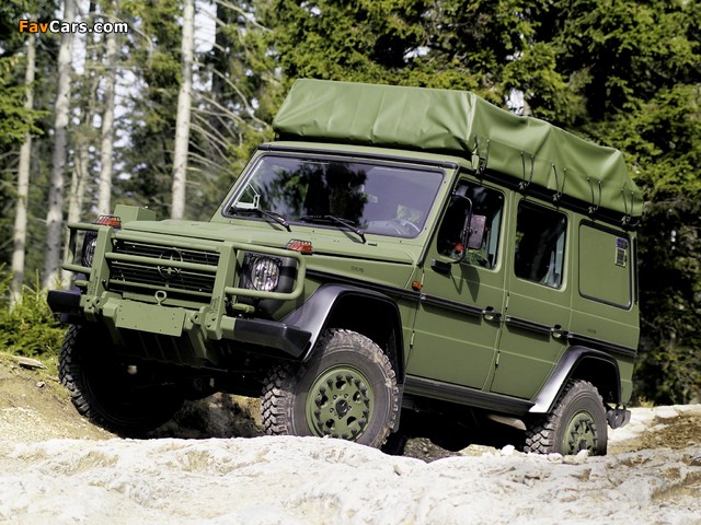 Pictures of Mercedes-Benz G-Klasse Military (W461) 1992 (640 x 480)