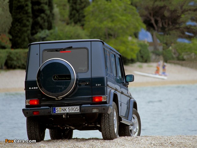 Pictures of Mercedes-Benz G 400 CDI (W463) 2000–06 (640 x 480)