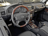 Pictures of Mercedes-Benz G 550 (W463) 2008–12