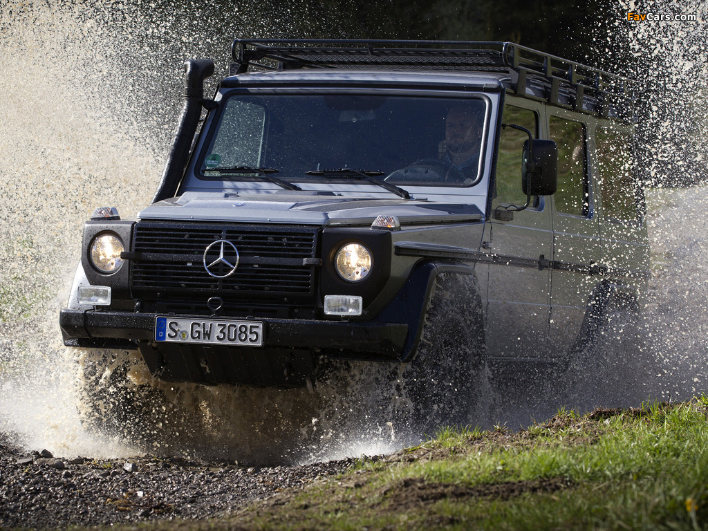Pictures of Mercedes-Benz G 300 CDI Professional (W461) 2010 (1024 x 768)