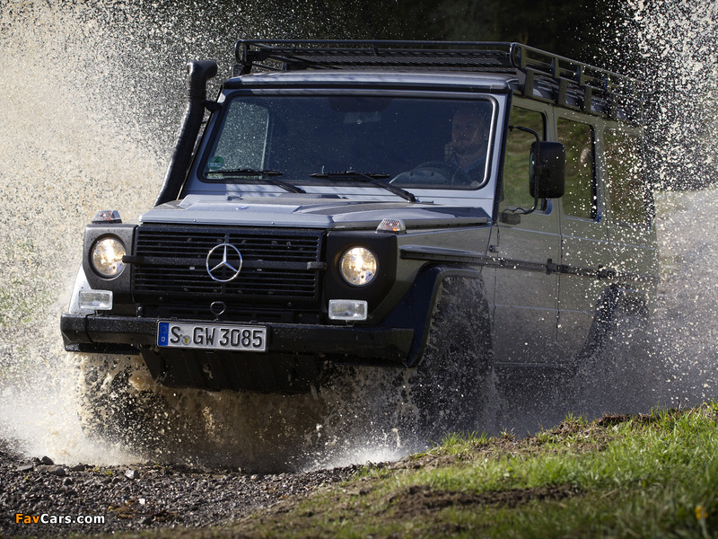 Pictures of Mercedes-Benz G 300 CDI Professional (W461) 2010 (800 x 600)