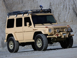 Pictures of Arctic Trucks Mercedes-Benz G 270 High Mobility (W461)