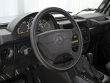 Mercedes-Benz G 300 CDI Professional (W461) 2010 wallpapers