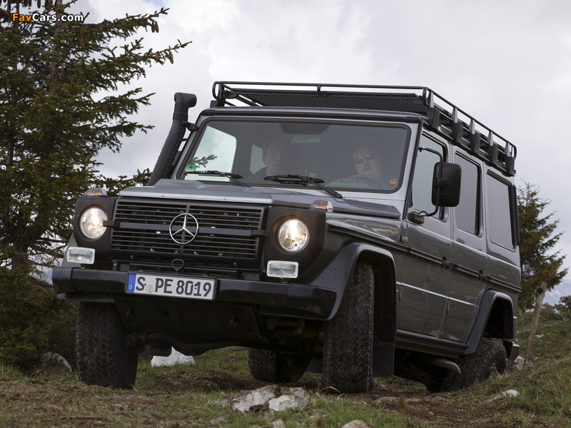 Mercedes-Benz G 300 CDI Professional (W461) 2010 wallpapers (800 x 600)