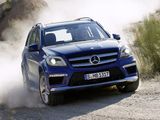 Pictures of Mercedes-Benz GL 350 BlueTec AMG Sports Package (X166) 2012