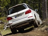 Pictures of Mercedes-Benz GL 500 BlueEfficiency (X166) 2012