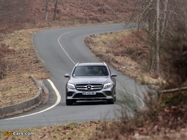 Photos of Mercedes-Benz GLC 250 4MATIC AMG Line (X253) 2015 (640 x 480)