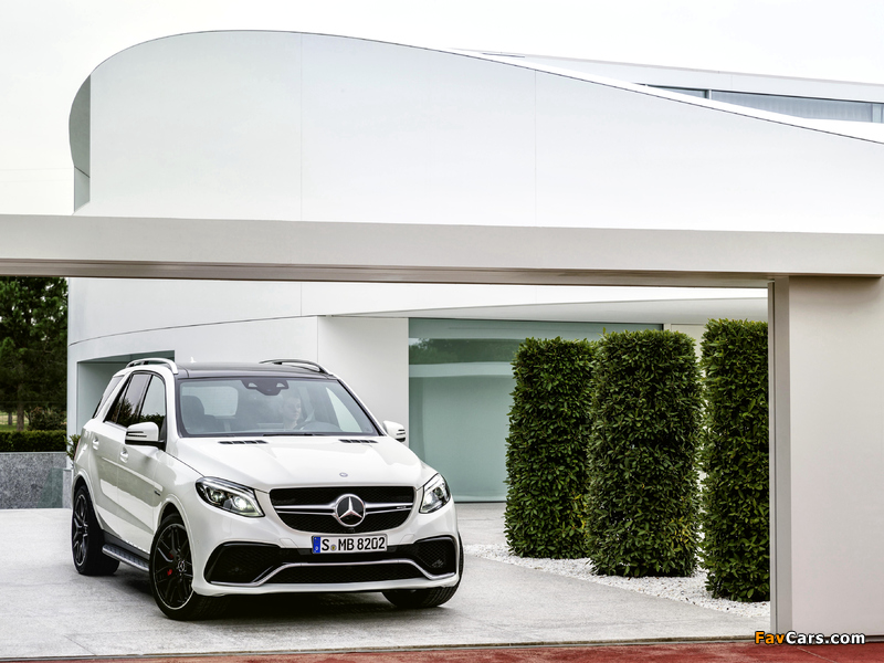 Pictures of Mercedes-AMG GLE 63 S 4MATIC (W166) 2015 (800 x 600)