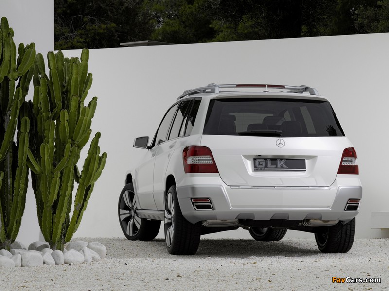 Images of Mercedes-Benz Vision GLK Freeside Concept (X204) 2008 (800 x 600)