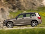 Images of Mercedes-Benz GLK 220 CDI BlueEfficiency (X204) 2012