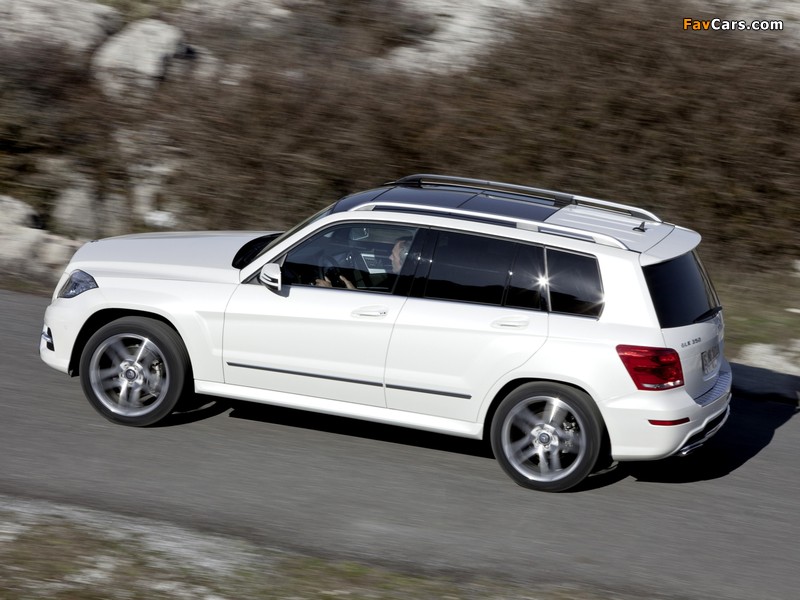 Images of Mercedes-Benz GLK 350 BlueEfficiency (X204) 2012 (800 x 600)
