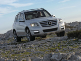 Mercedes-Benz Vision GLK Freeside Concept (X204) 2008 pictures