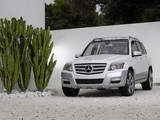 Pictures of Mercedes-Benz Vision GLK Freeside Concept (X204) 2008