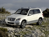 Pictures of Mercedes-Benz Vision GLK Freeside Concept (X204) 2008