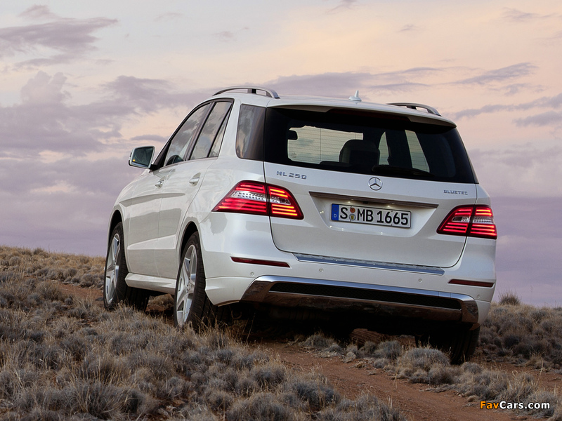 Images of Mercedes-Benz ML 250 BlueTec AMG Sports Package (W166) 2011 (800 x 600)