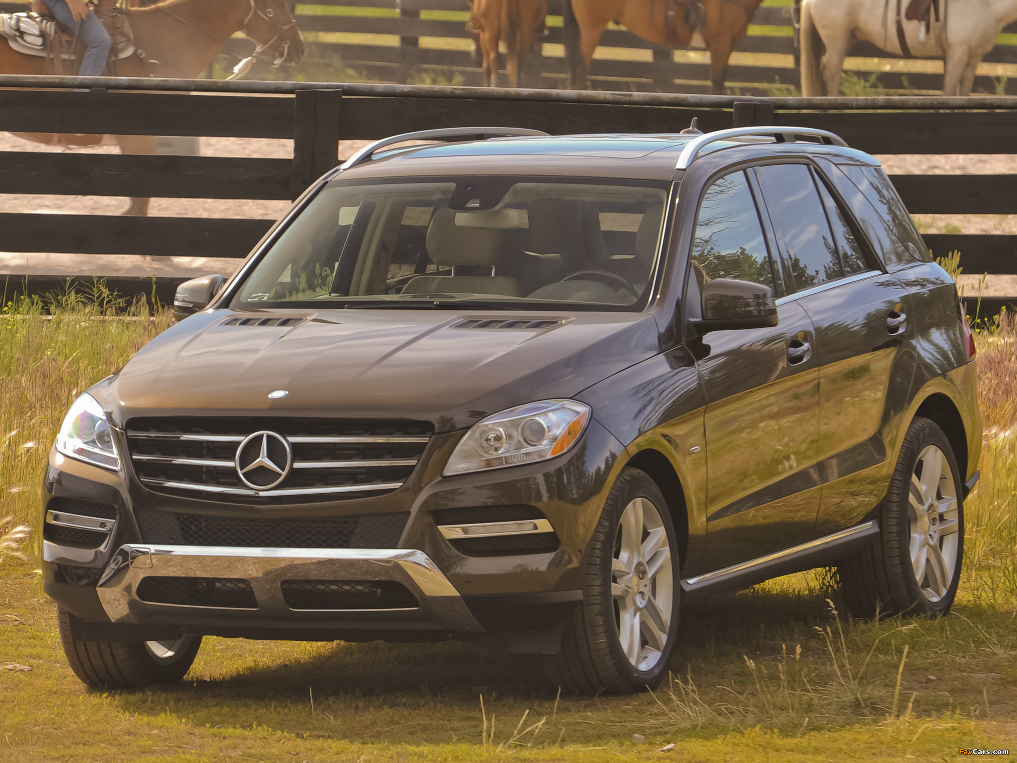 Images of Mercedes-Benz ML 350 BlueTec US-spec (W166) 2011 (2048 x 1536)