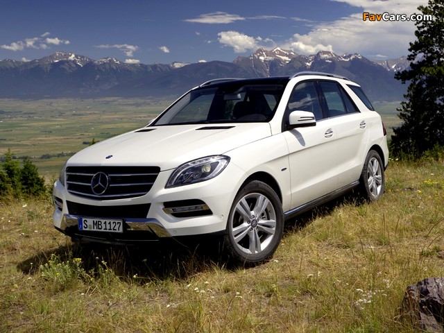 Images of Mercedes-Benz ML 350 BlueEfficiency (W166) 2011 (640 x 480)