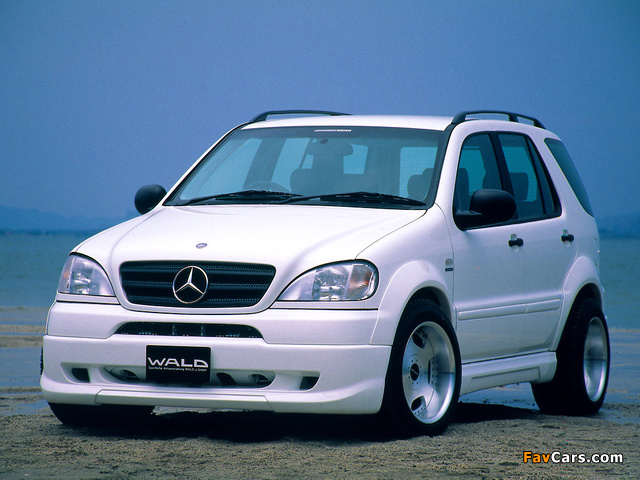 WALD Mercedes-Benz ML 320 (W163) 1997–2001 images (640 x 480)