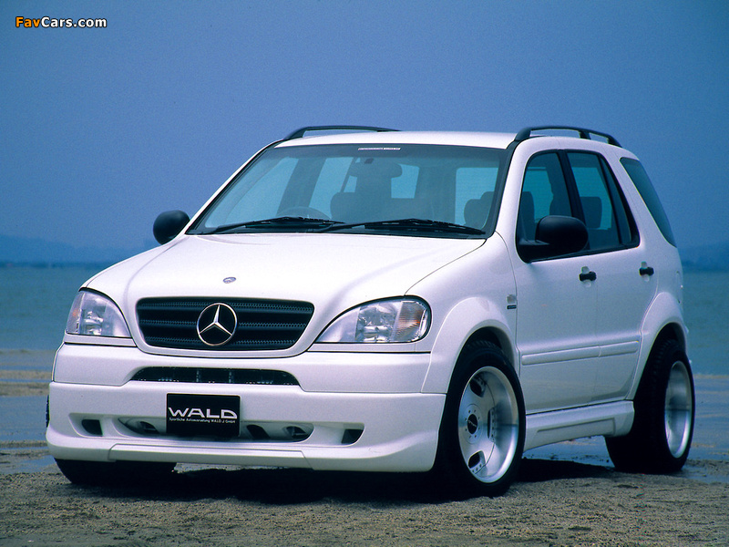 WALD Mercedes-Benz ML 320 (W163) 1997–2001 images (800 x 600)