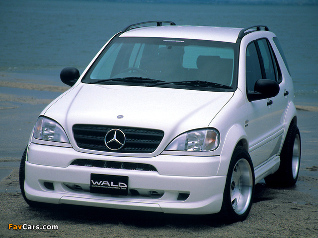 WALD Mercedes-Benz ML 320 (W163) 1997–2001 photos (640 x 480)