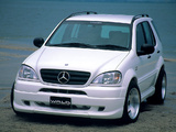 WALD Mercedes-Benz ML 320 (W163) 1997–2001 photos