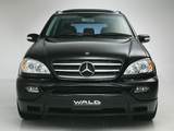 WALD Mercedes-Benz ML 350 (W163) 2001–05 images