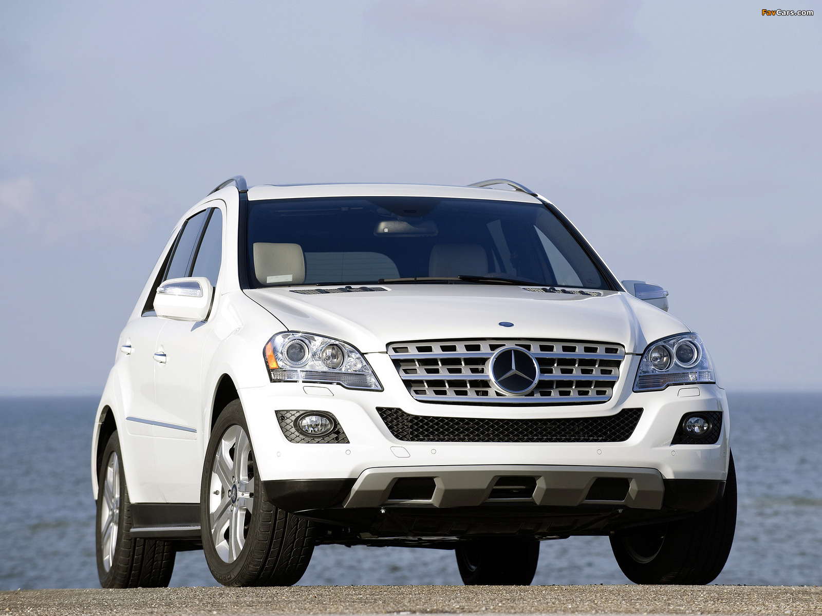 Mercedes-Benz ML 320 BlueTec (W164) 2008–11 pictures (1600 x 1200)