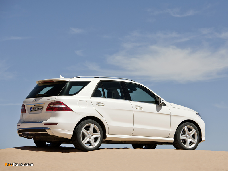 Mercedes-Benz ML 250 BlueTec AMG Sports Package (W166) 2011 images (800 x 600)