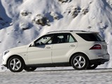 Mercedes-Benz ML 350 BlueTec (W166) 2011 photos