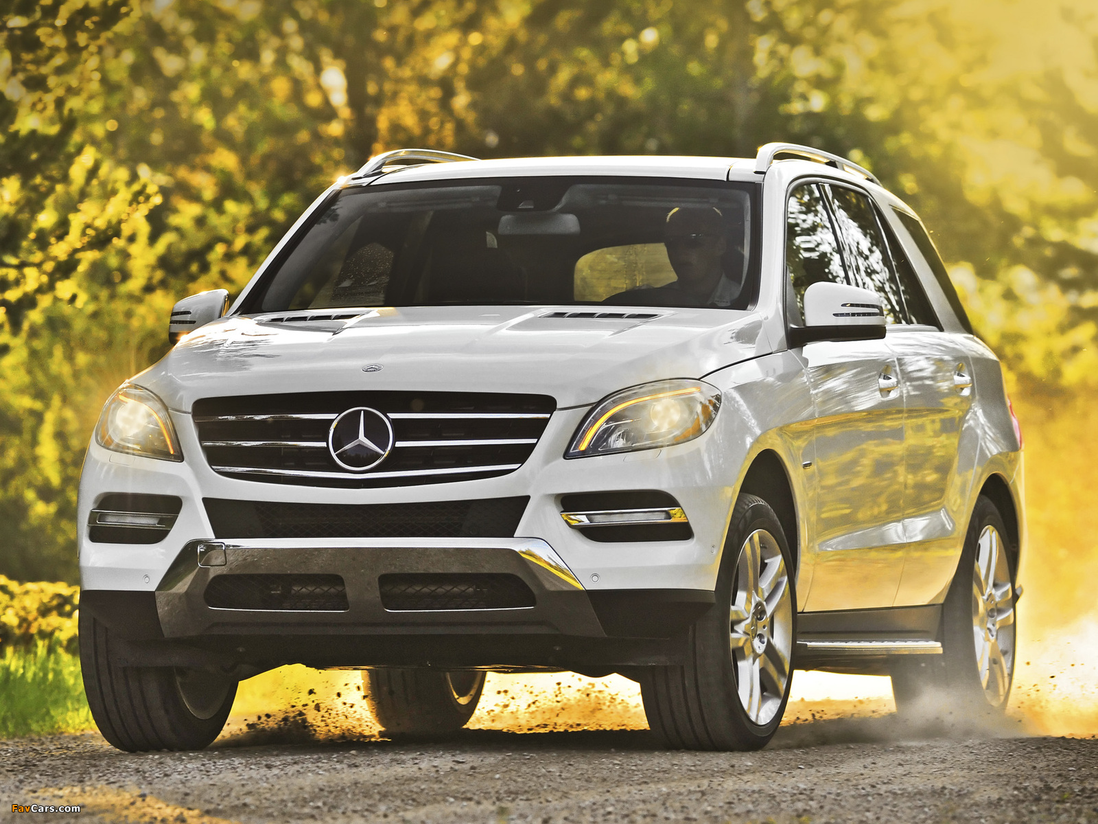 Mercedes-Benz ML 350 BlueTec US-spec (W166) 2011 photos (1600 x 1200)