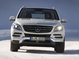 Mercedes-Benz ML 350 BlueTec (W166) 2011 photos