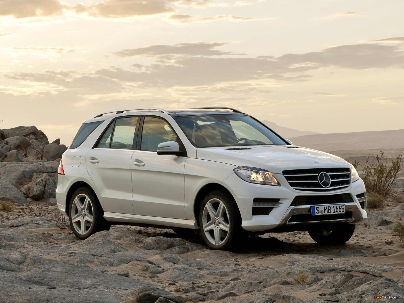 Mercedes-Benz ML 250 BlueTec AMG Sports Package (W166) 2011 pictures (1600 x 1200)