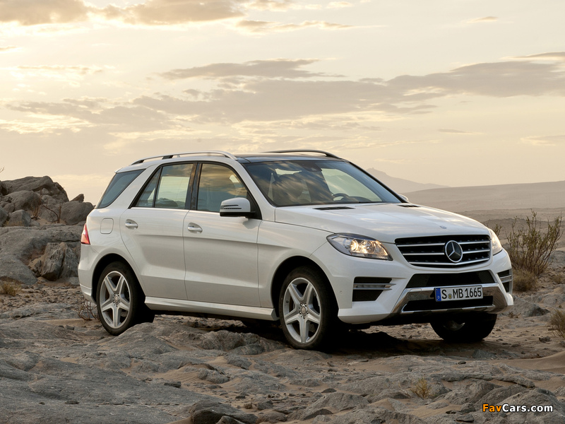 Mercedes-Benz ML 250 BlueTec AMG Sports Package (W166) 2011 pictures (800 x 600)