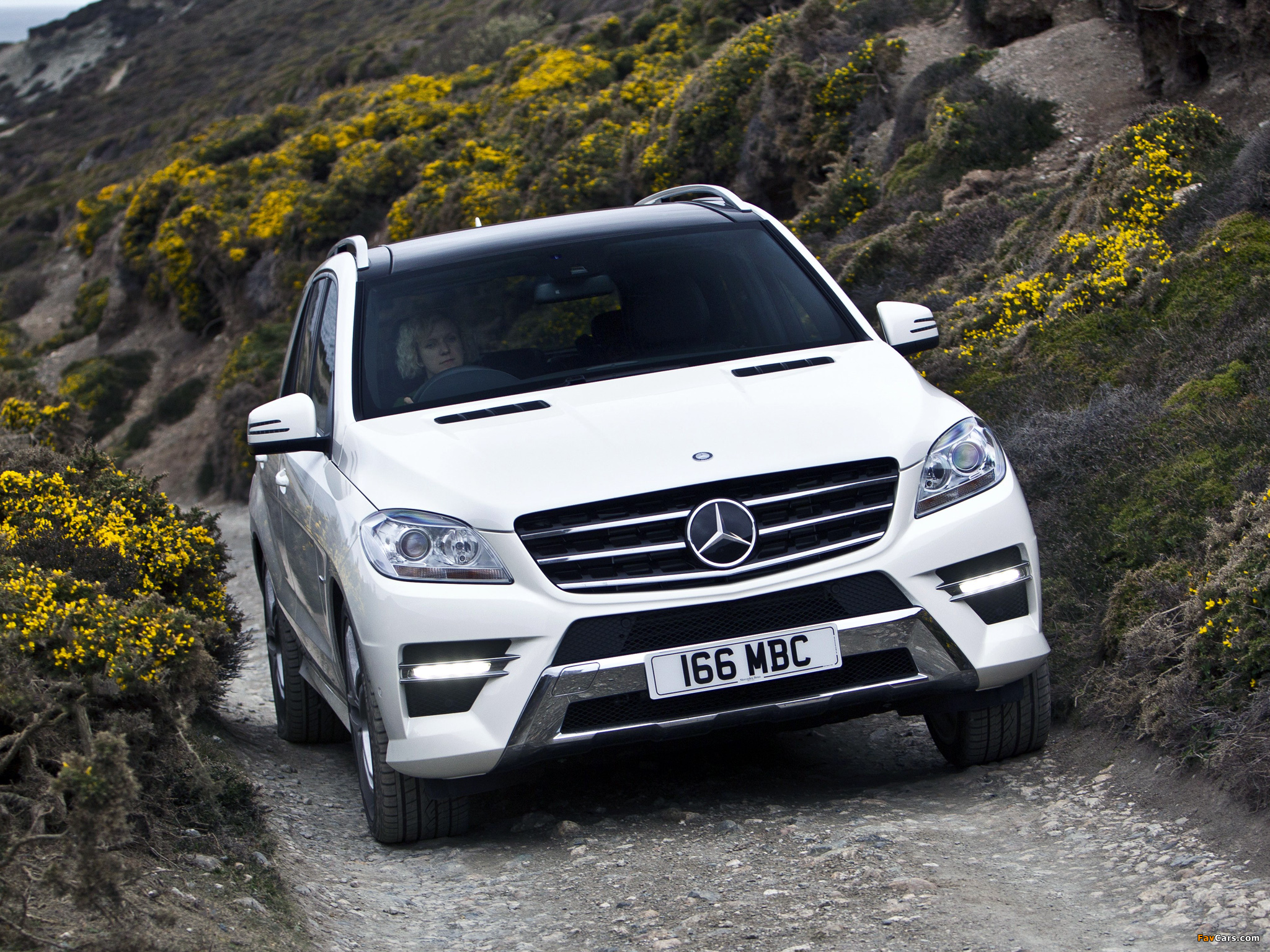 Mercedes-Benz ML 350 BlueTec AMG Sports Package UK-spec (W166) 2012 pictures (2048 x 1536)