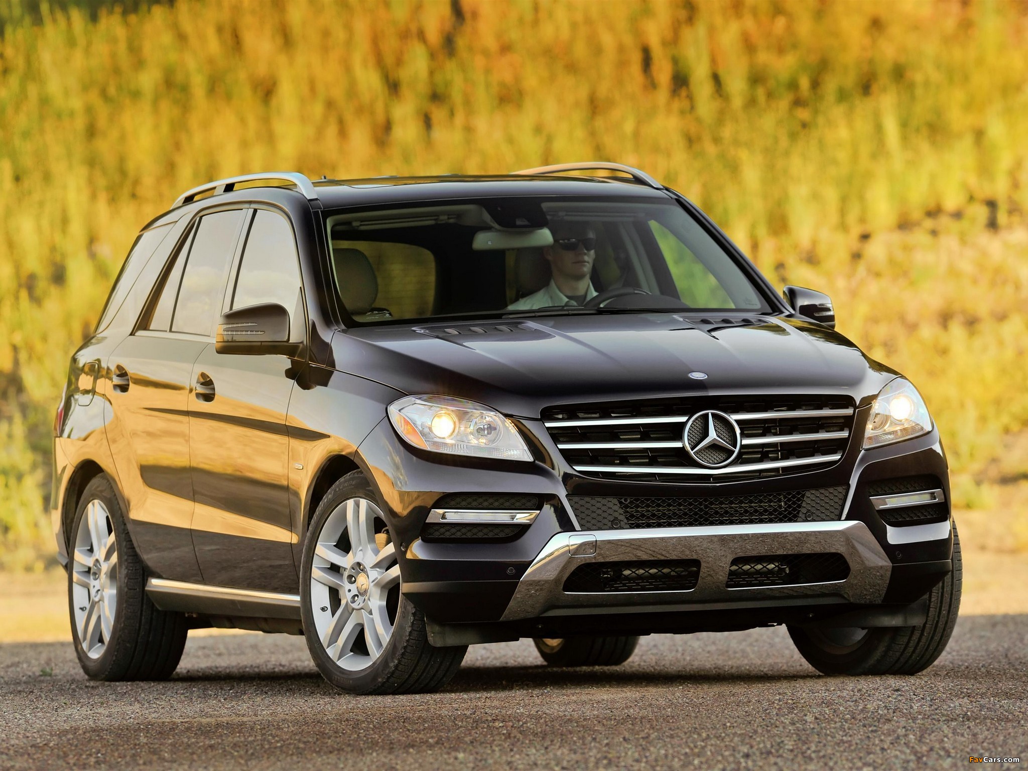 Photos of Mercedes-Benz ML 350 BlueTec US-spec (W166) 2011 (2048 x 1536)