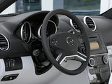 Pictures of Mercedes-Benz ML 500 (W164) 2008–11